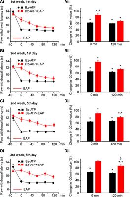 Increasing Efficiency of Repetitive Electroacupuncture on Purine- and Acid-Induced Pain During a Three-Week Treatment Schedule